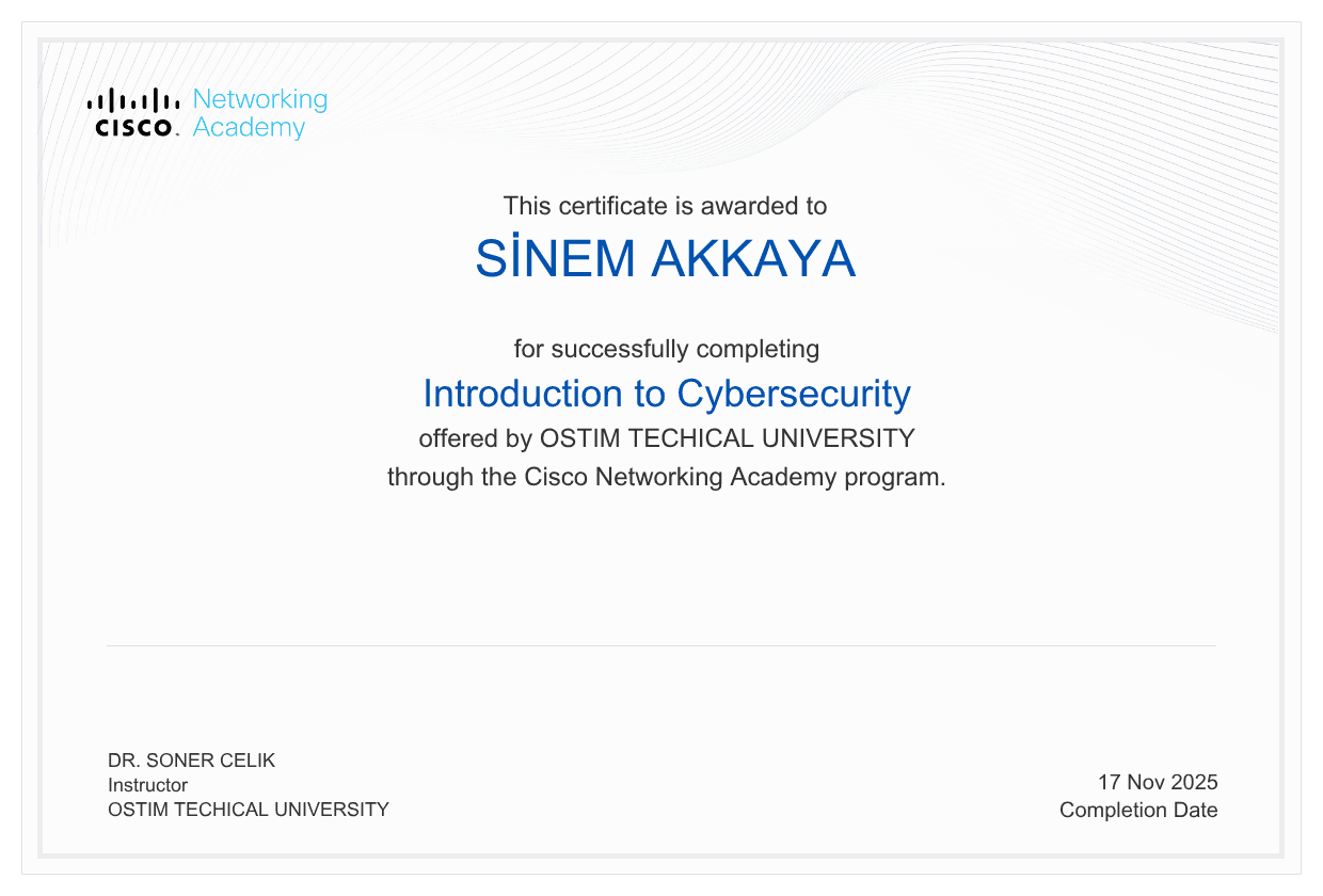 Introduction to Cybersecurity
